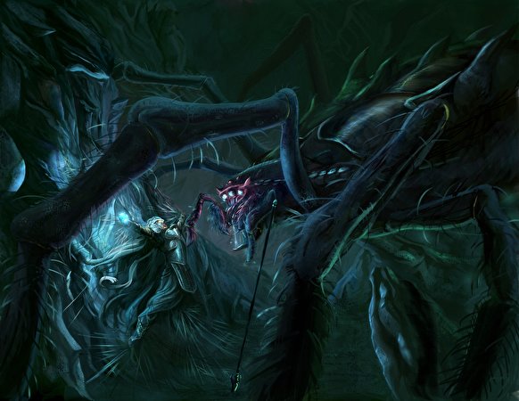 Afbeelding de spin Fantasy de strijd 582x450 Spinnen Veldslag