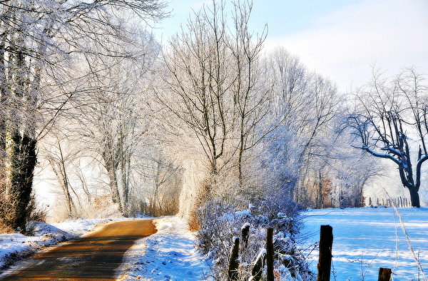 Images Winter Nature Roads Seasons 600x394