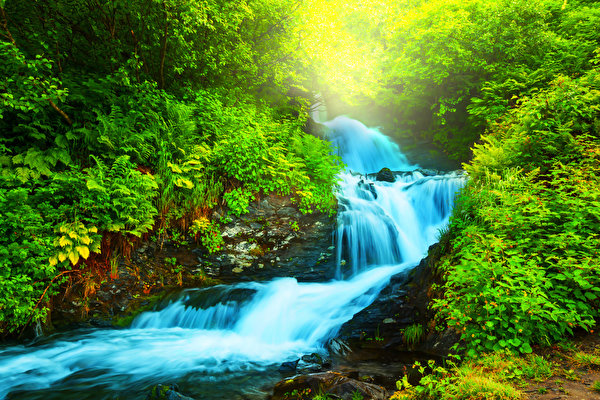 Images Nature Waterfalls Shrubs 600x400