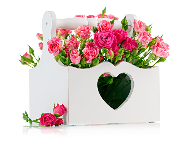 Immagine Cuore Rose fiore Molte 597x450 rosa Fiori molti