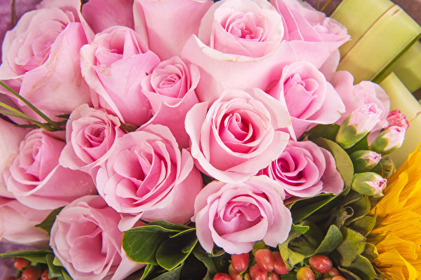 Tapeta na pulpit bukiet róża różowe Kwiaty 600x400 Bukiety Róże różowa Różowy kolor kwiat