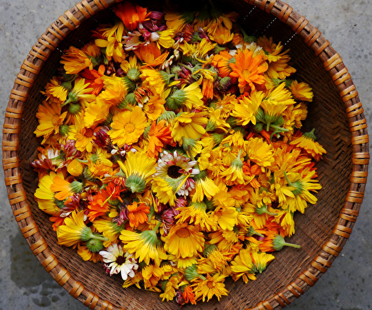 Download wallpaper 3840x2400 marigold, flower, close up, drops 4k wallaper,  4k ultra hd 16:10 wallpaper, 3840x2400 hd background, 5873