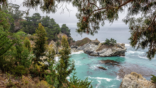 Bilder USA Küste Kalifornien Felsen Bäume Natur