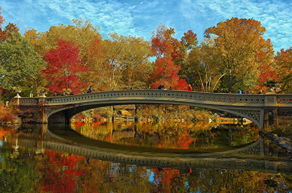 Bilder Vereinigte Staaten Park Brücken Herbst Teich New York City Natur