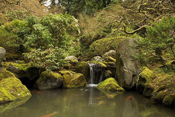 Hintergrundbilder USA Garten Wasserfall Stein Strauch Portland Japanese Gardens Oregon Natur