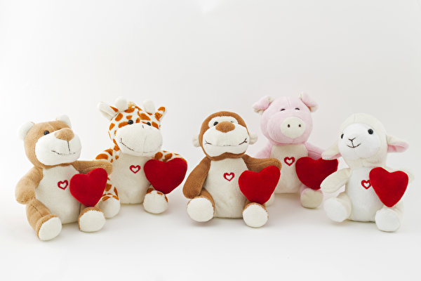Foto Valentijnsdag Hartje Teddybeer Speelgoed 600x400
