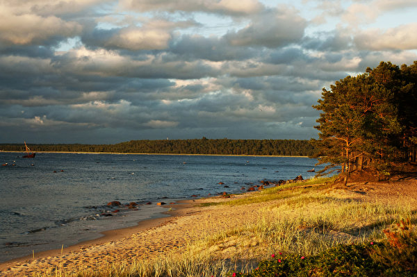 Pictures Estonia Lohusalu Autumn Nature Coast Rivers Trees 600x399