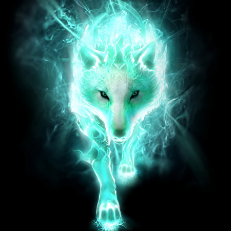 Wolves wallpaper (653 images) pictures download:8