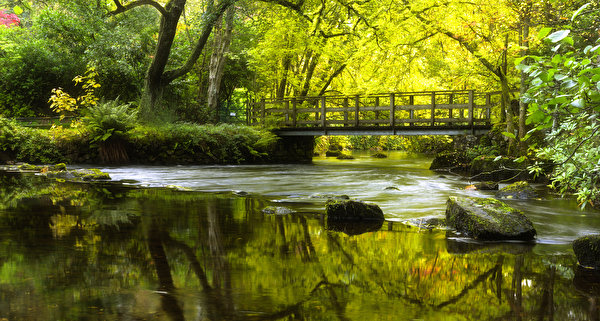 Image Scotland River Forth Nature Bridges Moss river stone 600x321