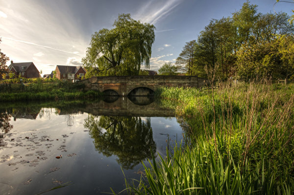 Pictures United Kingdom Barlaston Bridge Nature Grass Rivers 600x398   United Kingdom Rivers Bridges Barlaston Trees 523819 600x398 