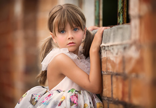 Wallpaper Brown haired Little girls Cute Staring child