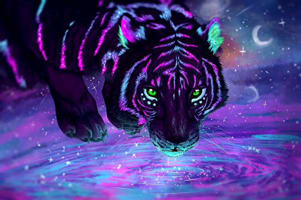600+] Tiger Wallpapers