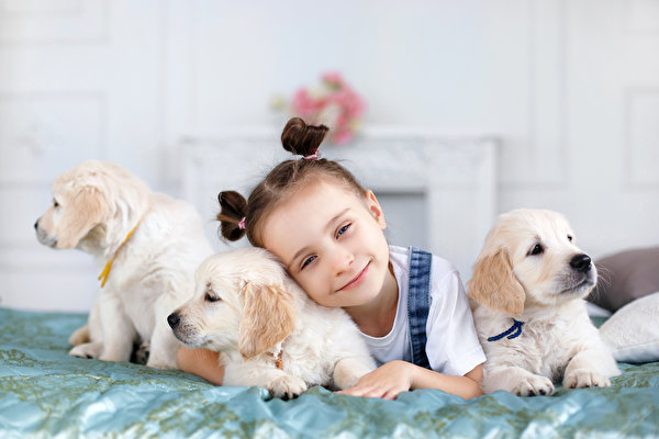 Wallpaper Dog Little girls Puppy Glance Lovely child