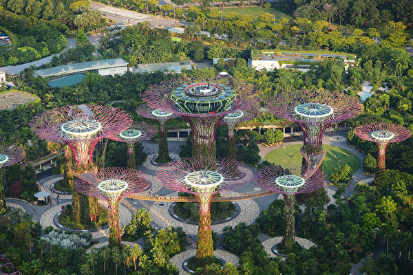 Images Singapore Gardens by the Bay Nature park From above 600x400