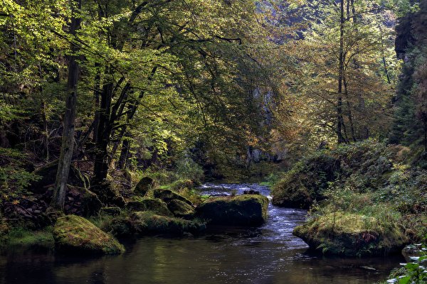 Picture Czech Republic Edmundsklamm, river Kamnitz Nature forest Rivers Stones Trees 600x400 Forests stone