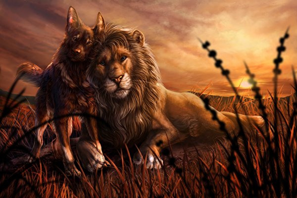 Sfondi desktop Panthera leo Cani Dipinti