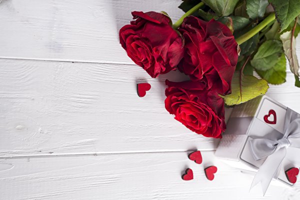 Bilder Rose Valentinstag Rot Bretter Vorlage Grußkarte Herz Blüte