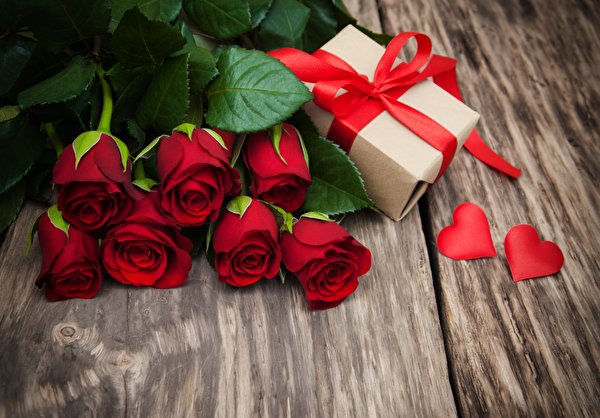 Hintergrundbilder Rose Rot Geschenke