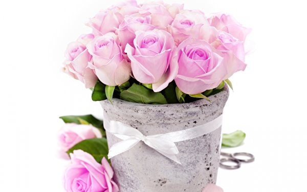 Desktop Wallpapers Bouquets Roses Pink color flower 600x375