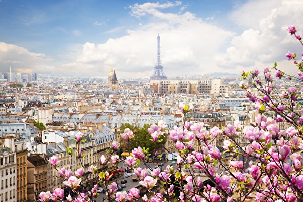 Papel de Parede Desktop França Primavera Arvores floridas Paris Torre Eiffel