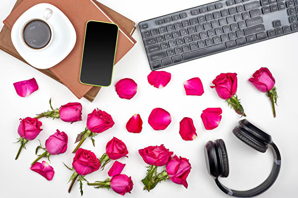 Fotos Rosen Tastatur Kaffee Weißer hintergrund Blütenblätter Kopfhörer Smartphones Tasse Buch Rot Blüte Lebensmittel