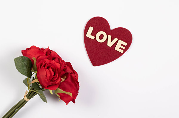 Fotos Valentinstag Sträuße Rose Weißer hintergrund Rot Herz Wort Englischer