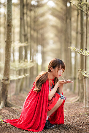 Foto Rotkäppchen posiert junge frau Wald asiatisches sitzt 300x450 für Handy Pose Mädchens junge Frauen Asiaten Wälder Asiatische sitzen Sitzend