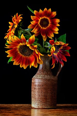 Images bouquet Flowers Sunflowers Vase 301x450 for Mobile phone Bouquets flower Helianthus