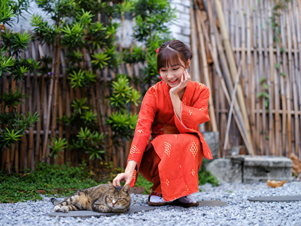 Fotos von Hauskatze Lächeln Kimono Mädchens Asiaten sitzt ein Tier 600x450 Katze Katzen junge frau junge Frauen Asiatische asiatisches sitzen Sitzend Tiere