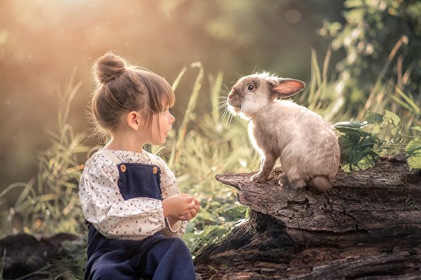 Image Rabbits Bokeh Little girls Dark Blonde Sitting Hands child
