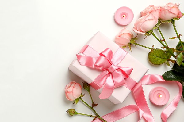 Fondos de escritorio Día de San Valentín Rosas Velas Caja Presente Cinta Lazo Tarjeta de felicitación de la plant flor