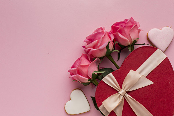 Fondos de escritorio Rosas Día de San Valentín Cinta Caja Presente Corazón Fondo rosa Tarjeta de felicitación de la plant Flores