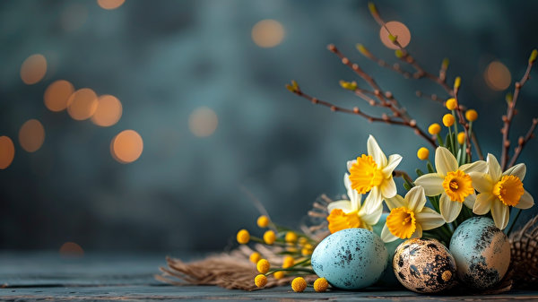 Wallpaper Easter Daffodils Branches Egg