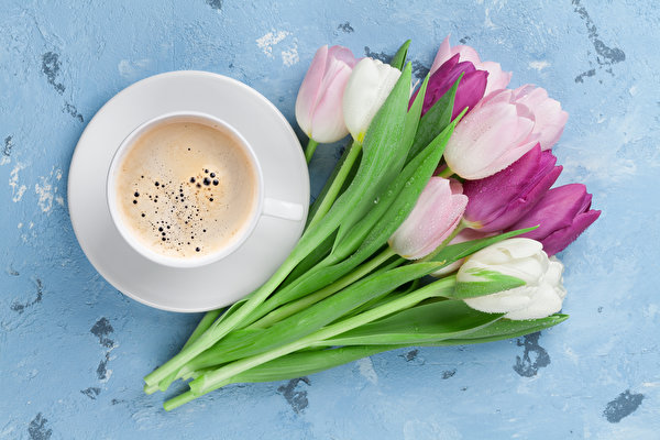 Wallpapers Tulips Bouquets Coffee Cup Food