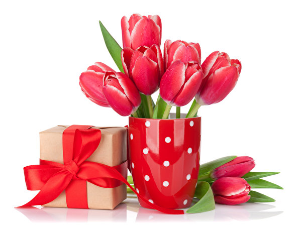 Image Tulips Bouquets Red Mug Box Gifts Bow knot White background flower