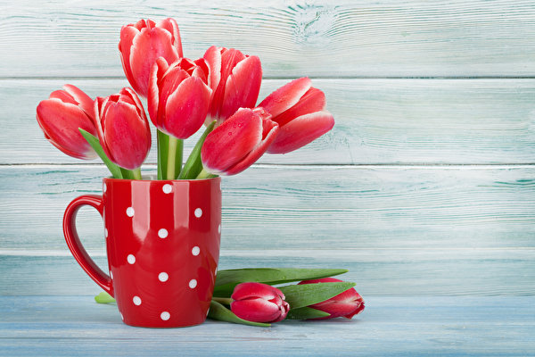 Images Tulip Bouquets Red Mug Wood planks