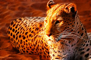 Desktop hintergrundbilder Leopard Schnurrhaare Vibrisse 3D-Grafik