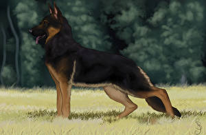 Wallpapers Dog Painting Art German Shepherd Shepherd animal