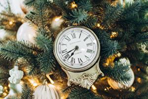 Image Clock New year Clock face Branches